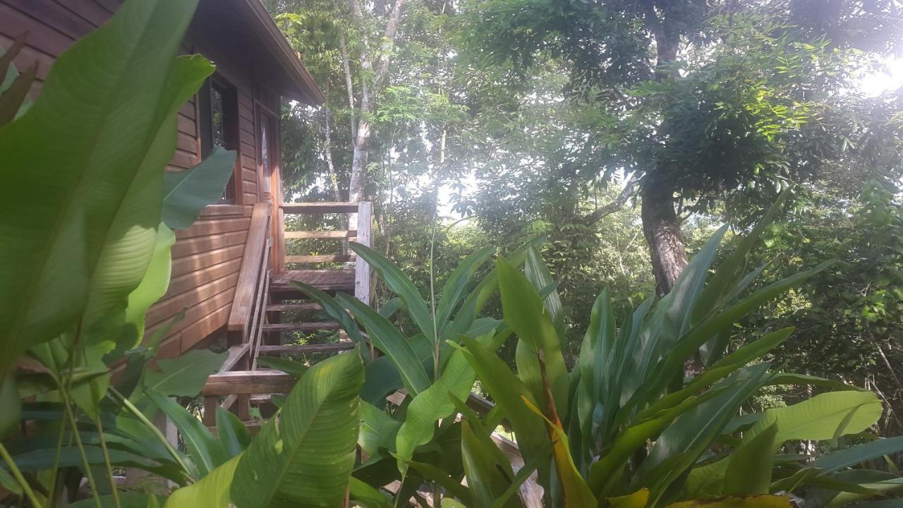 Santa Cruz Cabins Santa Elena Экстерьер фото
